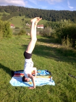 Cliquer pour agrandir